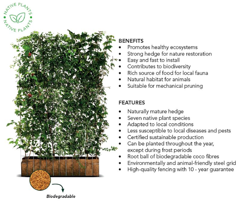 Native Hedging Species ECO Screen